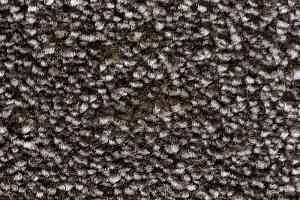 Ковролин AW Masquerade Euphoria 43 фото  | FLOORDEALER